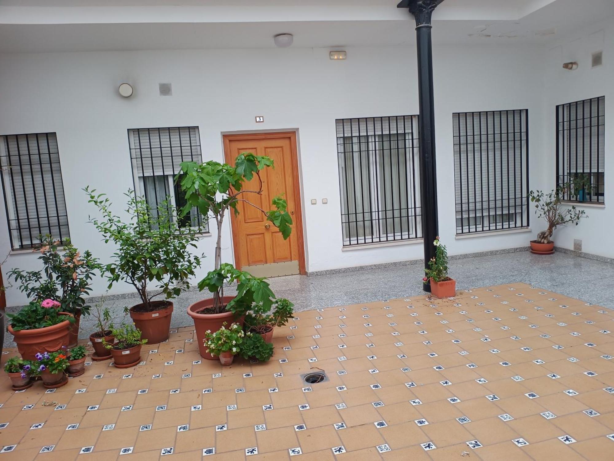 Sunshine Fernando Colon Apartment กอร์โดบา ภายนอก รูปภาพ